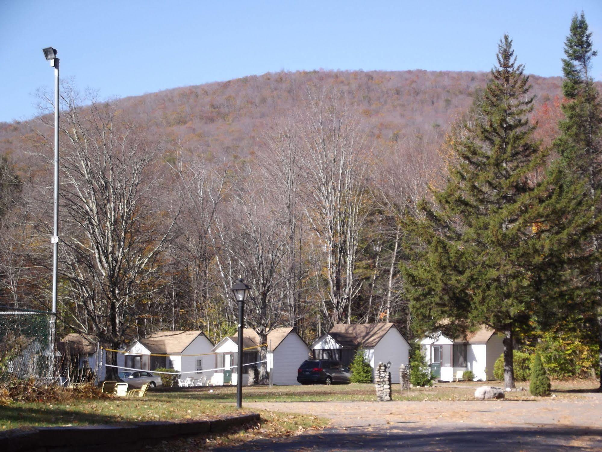 Profile Motel & Cottages Lincoln Extérieur photo